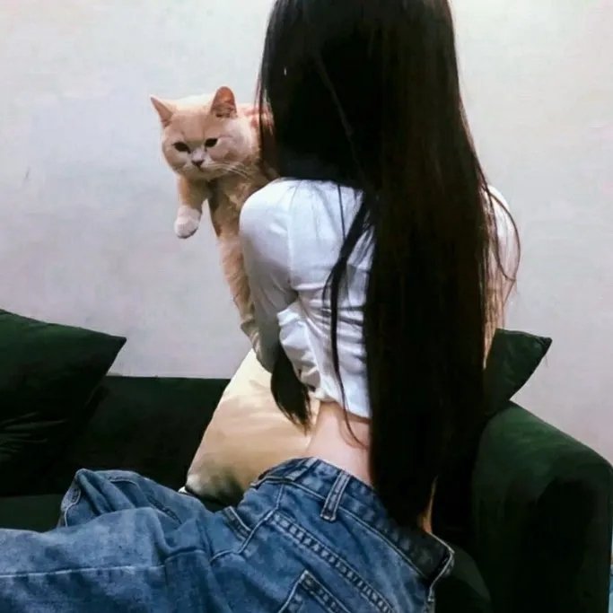胜利的代价
